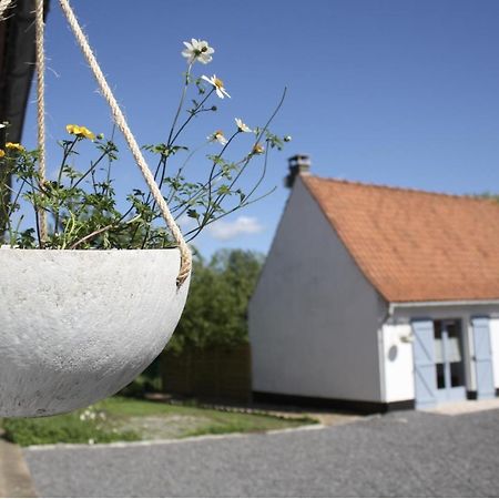 A L'Ombre Du Prunier Bed and Breakfast Licques Buitenkant foto