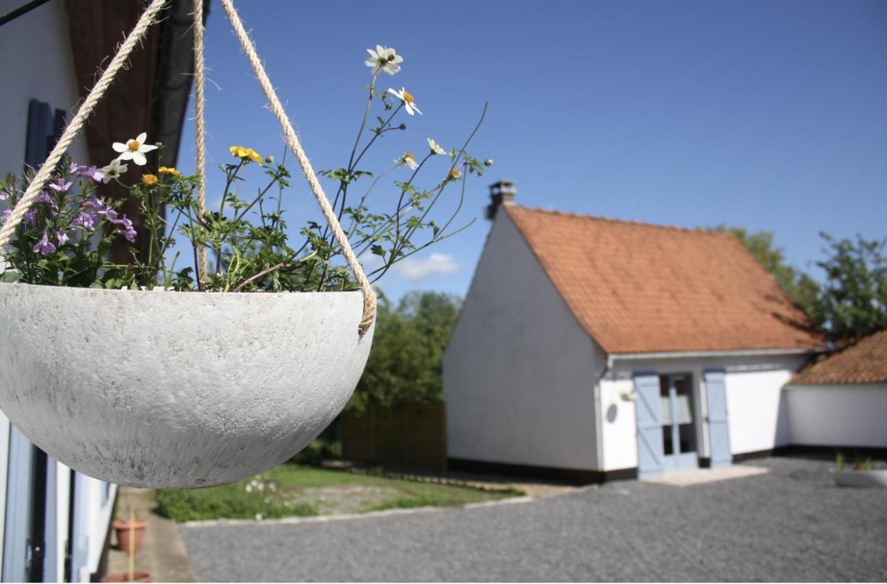 A L'Ombre Du Prunier Bed and Breakfast Licques Buitenkant foto
